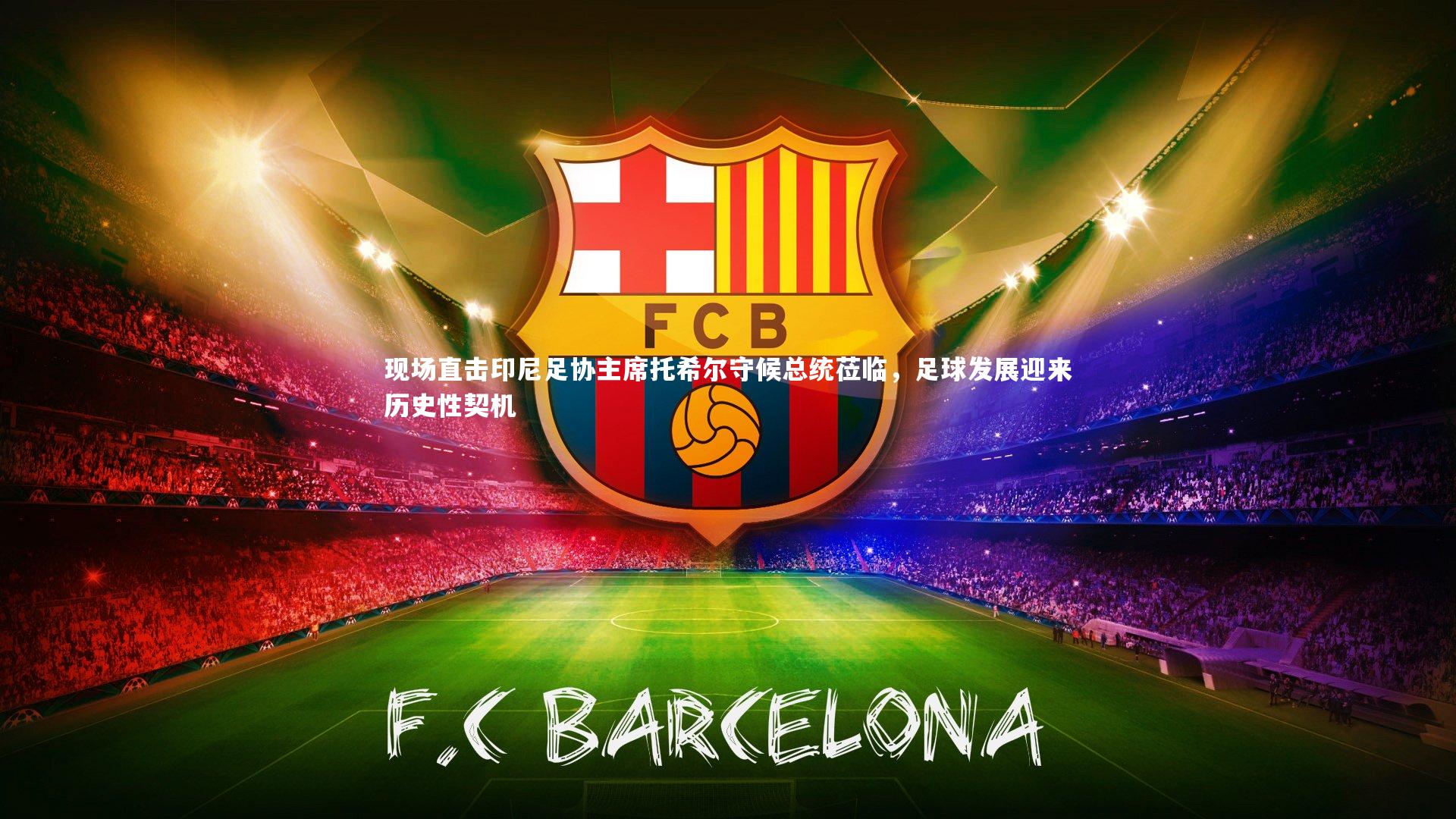 九游体育|现场直击印尼足协主席托希尔守候总统莅临，足球发展迎来历史性契机